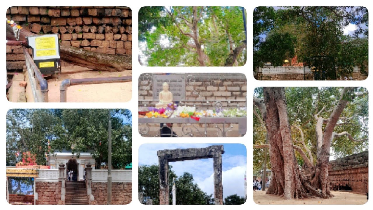 Anuradhapura trip [ අනුරාධපුරය ] #trip 