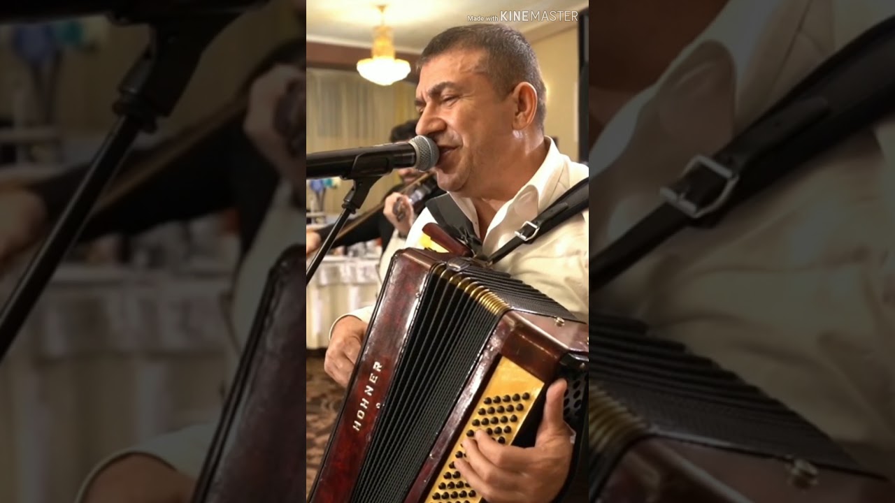 Stefan De La Barbulesti Doamne Ce Sa în răit Lumea. Live 100%.2020. ( WILSON EUGEN )