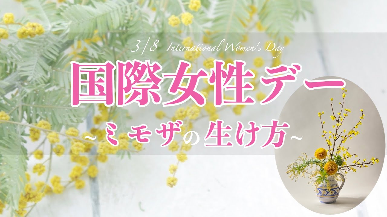 【生け花】春！ミモザの簡単綺麗な飾り方！！【国際女性デー】