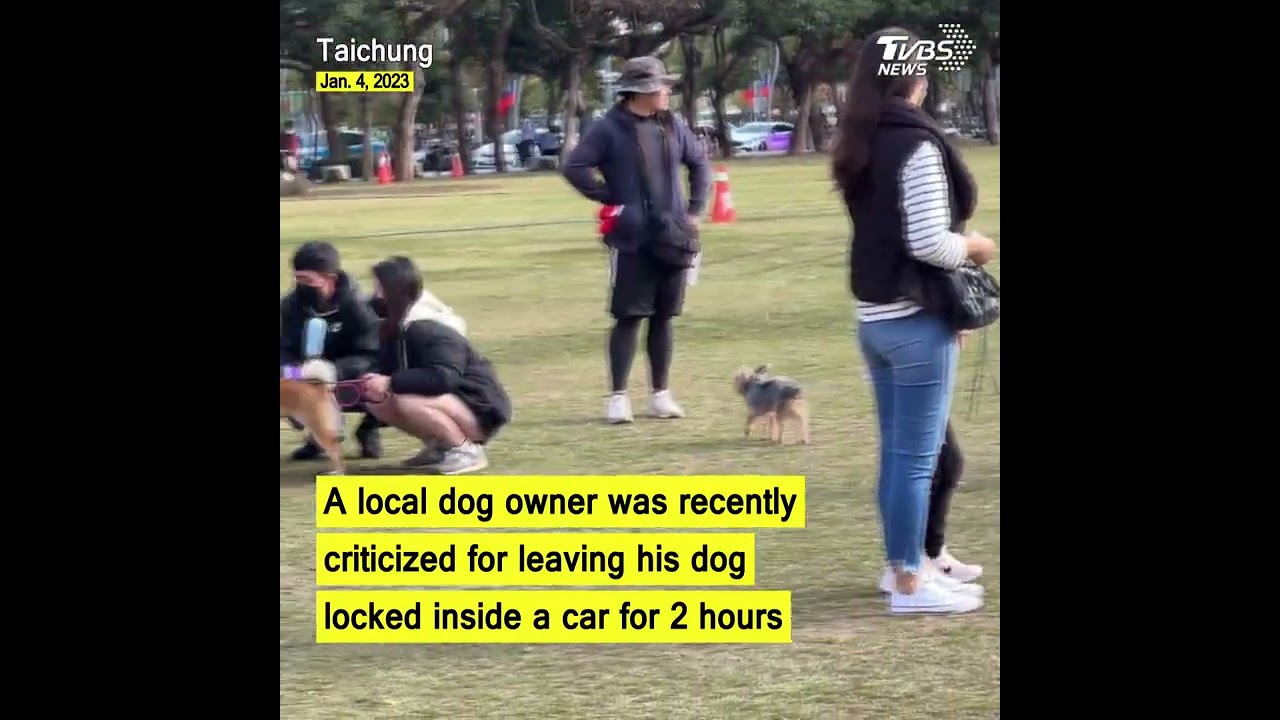 Taiwan dog owner criticized for locking pet in car for 2 hours #shorts @tvbsfocus