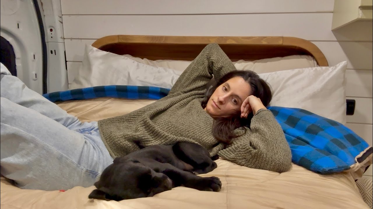 24 hours with a puppy in my van 💙