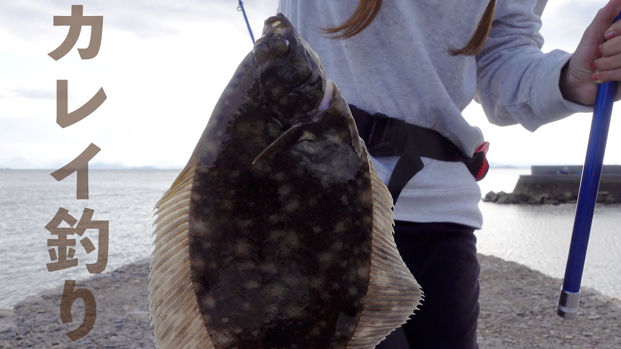【投げ釣り】【海釣り】カレイ釣り初心者の私がカレイを狙ってみた！