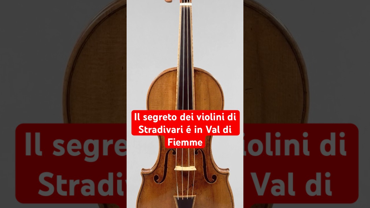 Il segreto dei violini di Stradivari &egrave; in Val di Fiemme