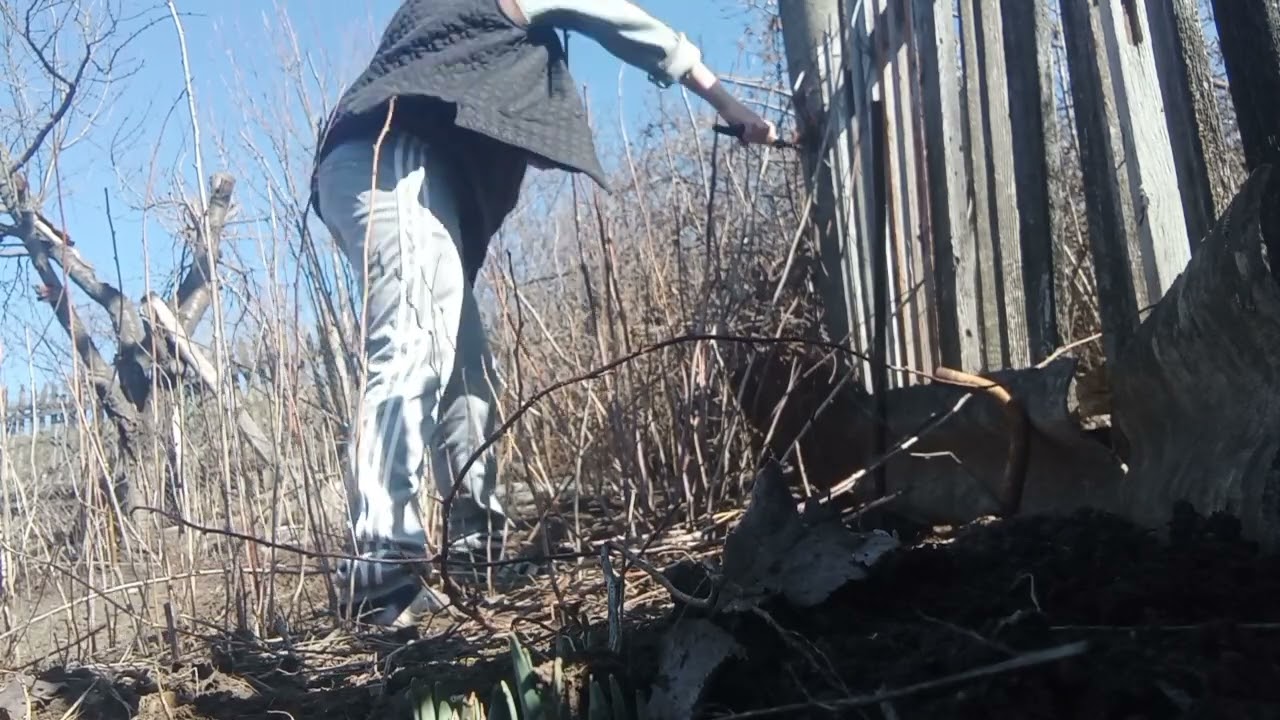 Работы непочатый край🤩Обрезала малину. Довольный Егор распугал всех птиц😀Запеканка