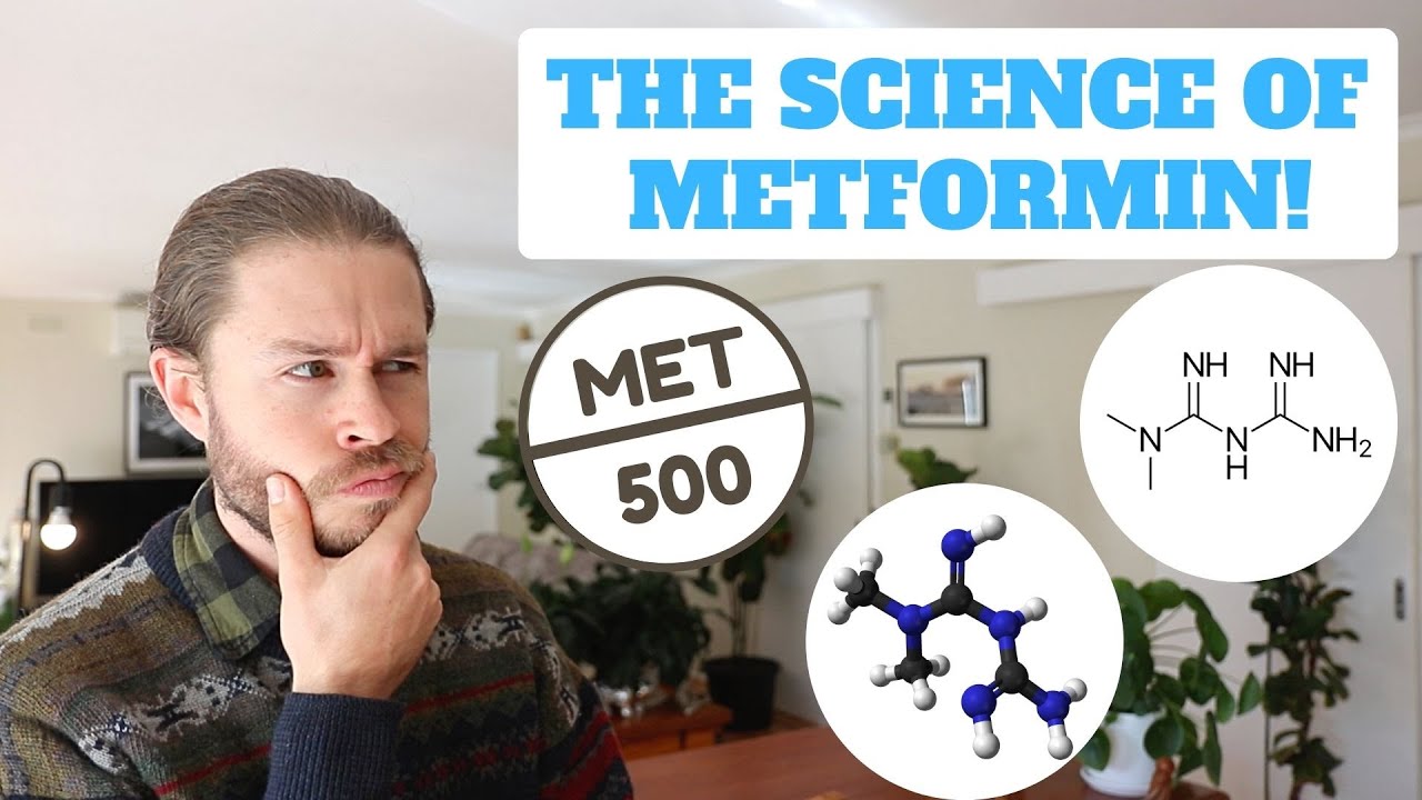How Does Metformin Work?