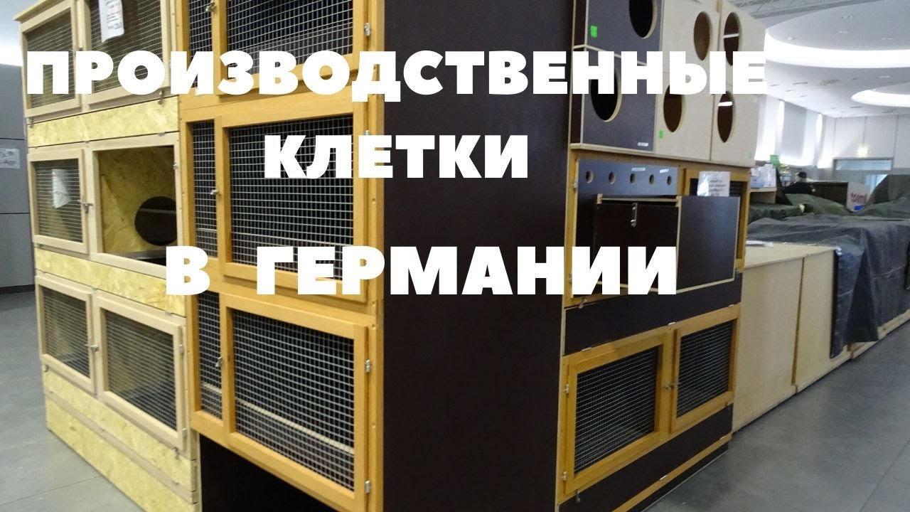 Немецкие клетки для кроликов, шедовое содержание