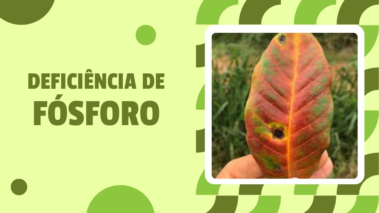 O problema que metade dos solos brasileiros enfrentam