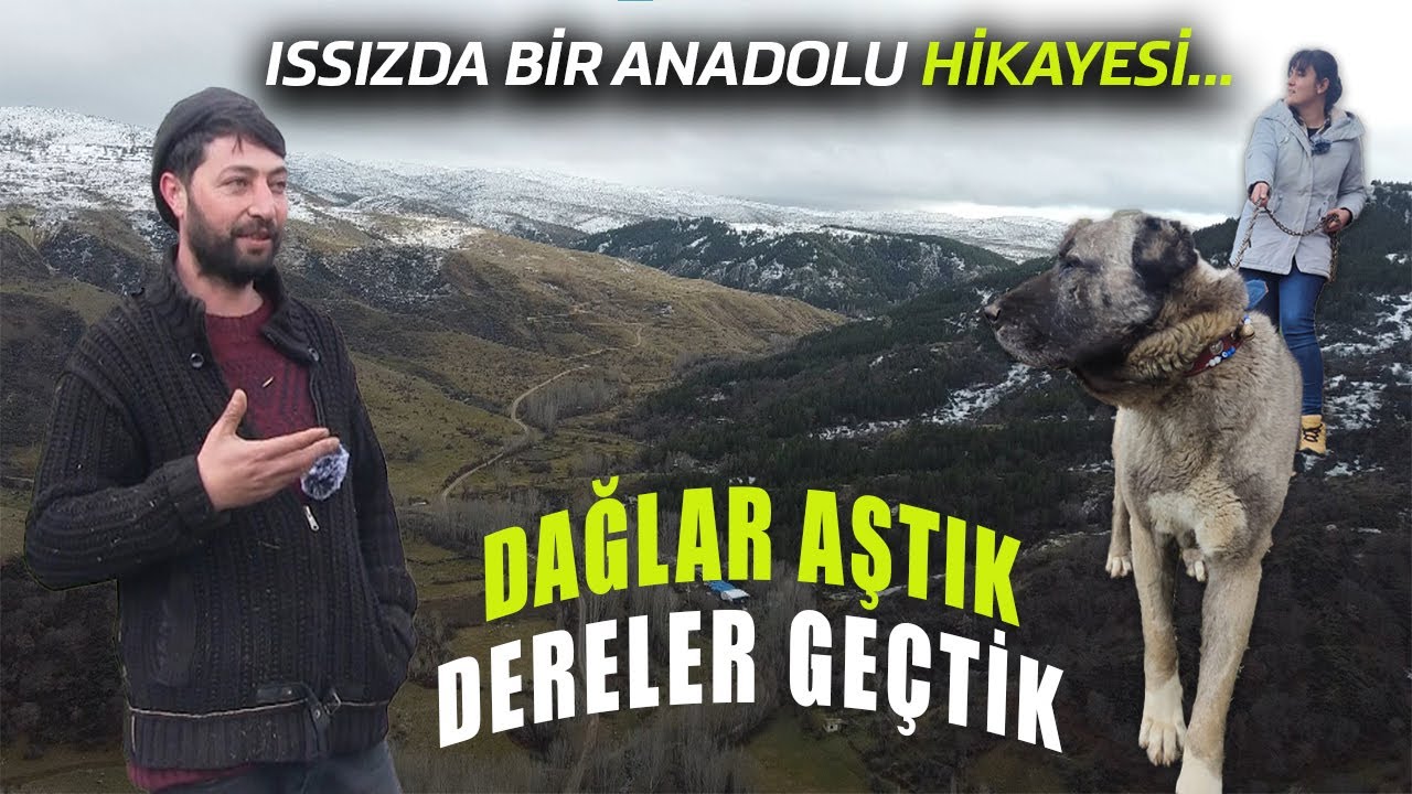 Issızda Bir Anadolu Hikayesi-&Ccedil;oban ve Kangal-Dağlar Aştık Dereler Ge&ccedil;tik @Dagdayasam