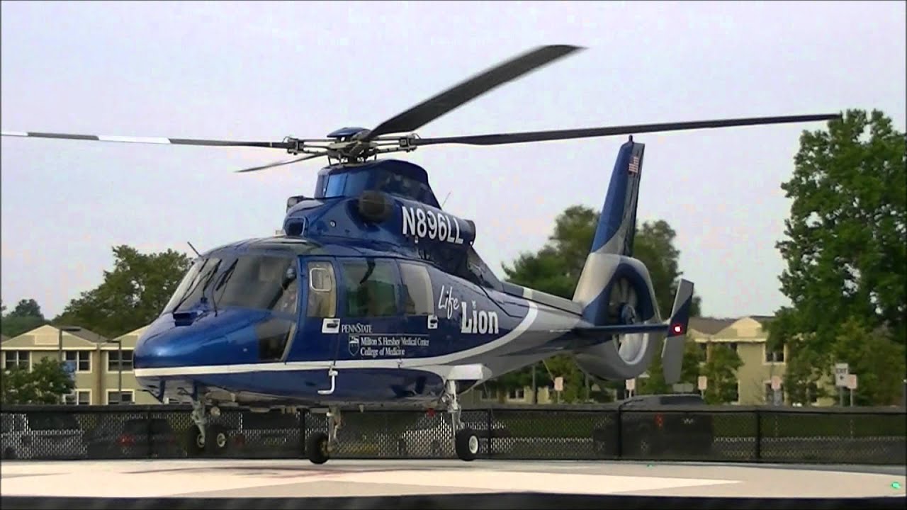 Hershey Life Lion Landing and Take Off