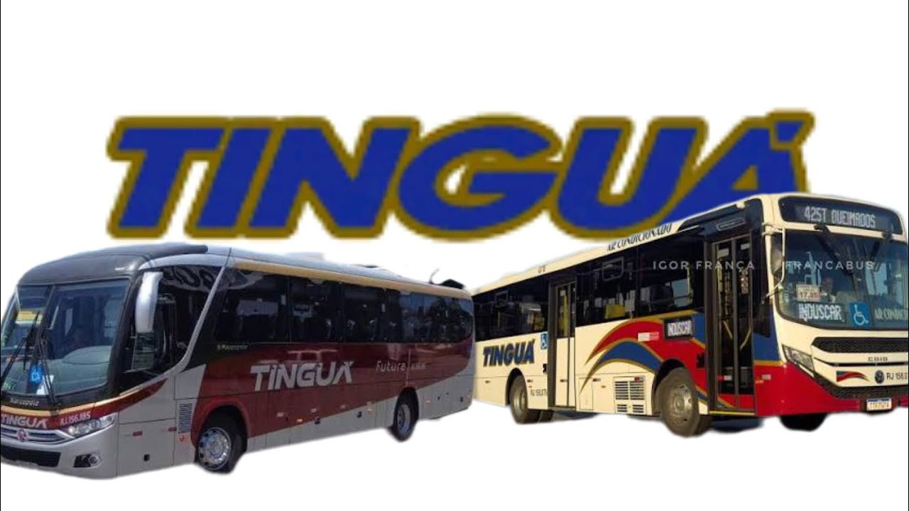 Foto dos ônibus da tingua