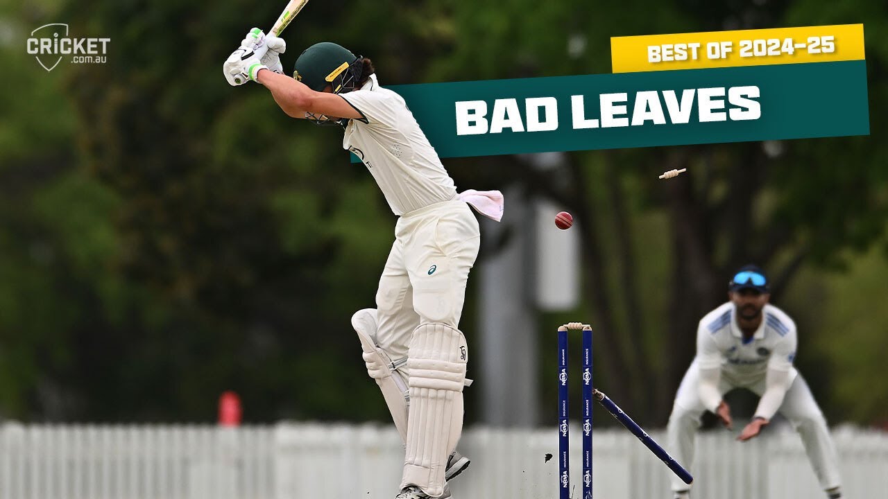 Whoops! The worst leaves from the summer | Best of 2024-25