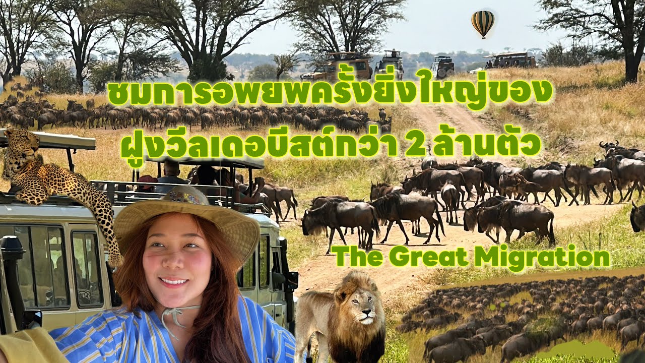 แทนซาเนีย🇹🇿 | ชมการอพยพครั้งยิ่งใหญ่ของฝูงวีลเดอบีสต์กว่า 2 ล้านตัว!! ตามหา Big5 แห่งทุ่งหญ้าสะวันนา