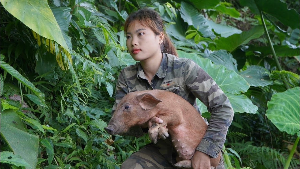 Detect and track wild boar footprints, set traps, and capture them for farming, survival alone