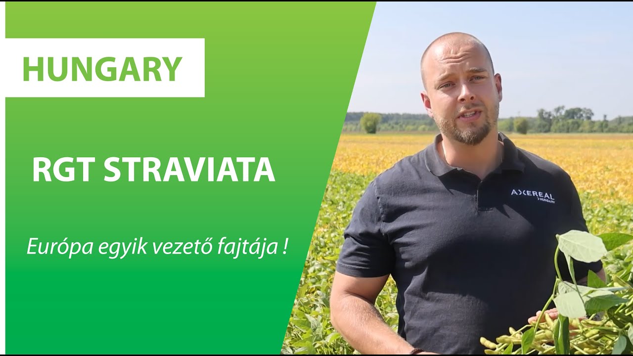 RGT Straviata  | Axereal Hungary