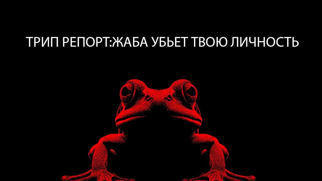 Я попробовал яд, чтобы родиться заново. ТРИП РЕПОРТ ЯД ЖАБЫ