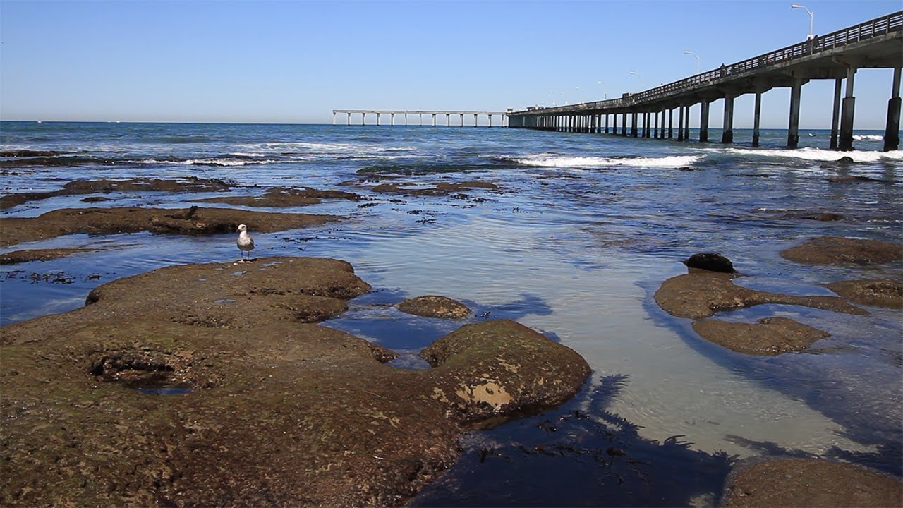 California Ocean Sounds, Ocean Beach Waves, 1 Hour of Waves Sounds for to Relax