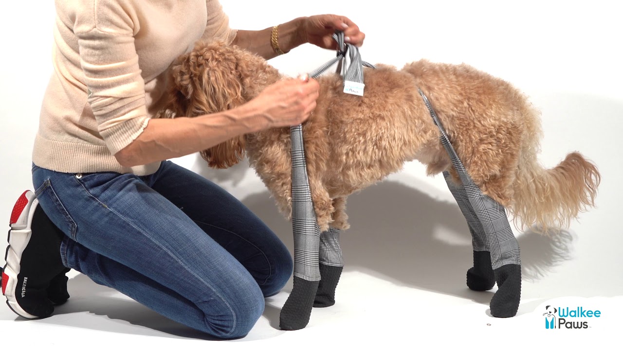 Fixing Walkee Paws Fit Issues