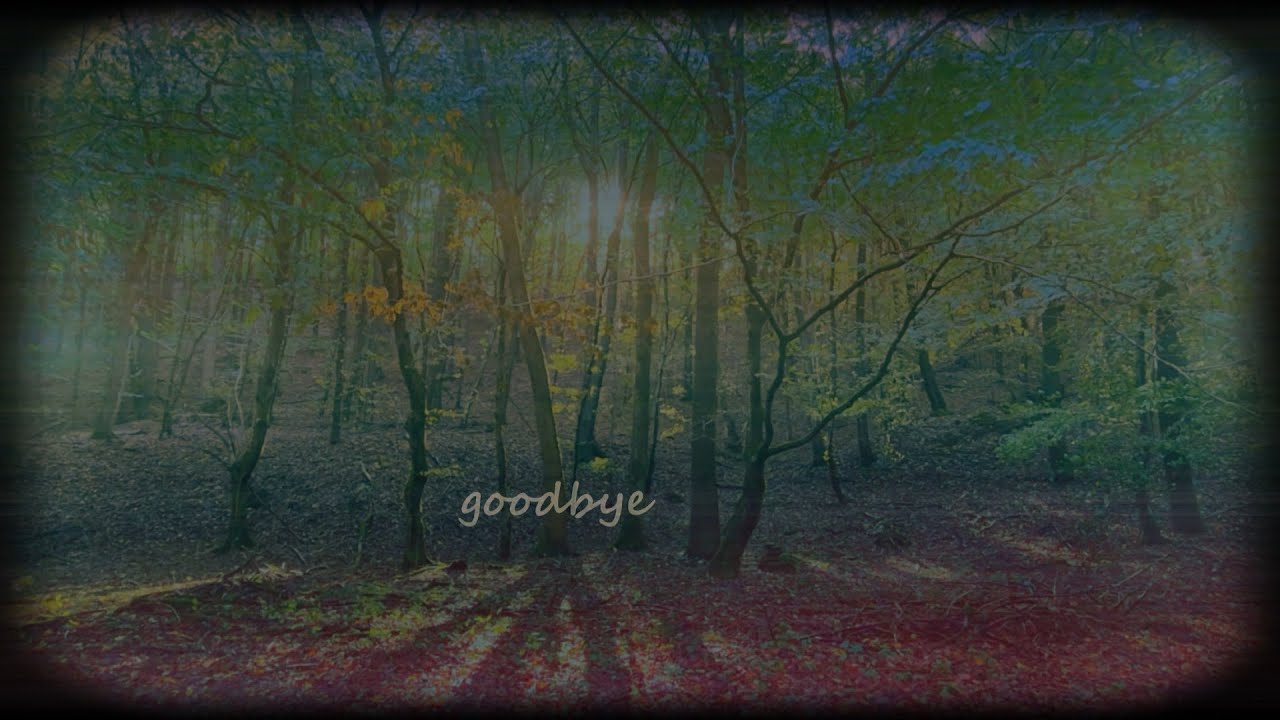 Arrived - Goodbye