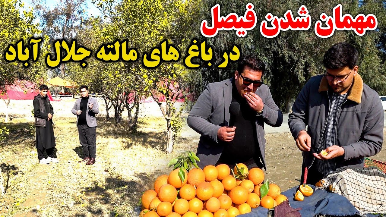 سفر فیصل به جای اصلی مالته | شکست میوه پاکستان در مقابل افغانستان | مهمان مالته مزه دار بتی کوت شدیم