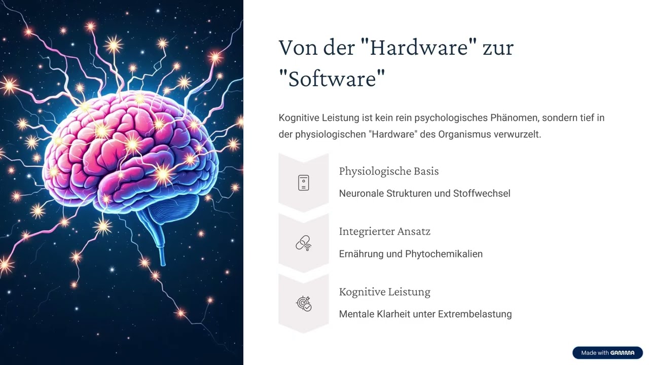 Mentale-Kognition-und-korperliche-Extrembelastung.mp4