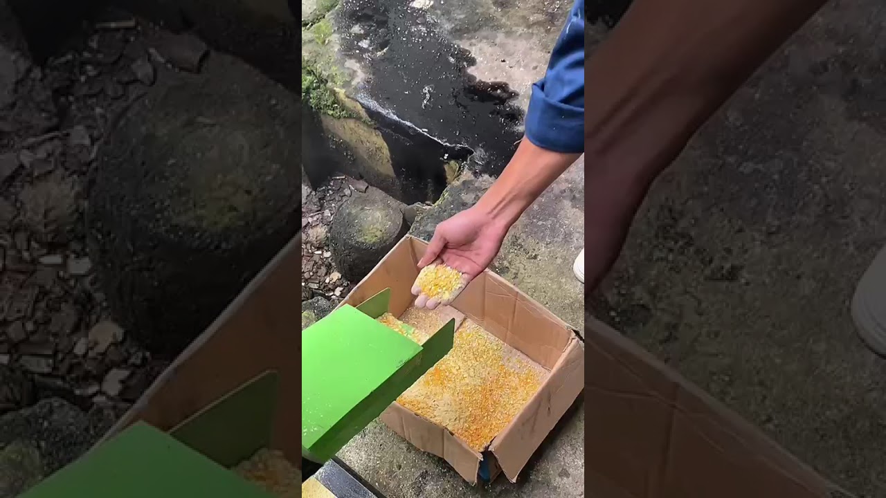 TAM : Rancang Mesin Pemecah Biji Jagung untuk Pakan Ternak Ayam dibawah Umur 1 Bulan