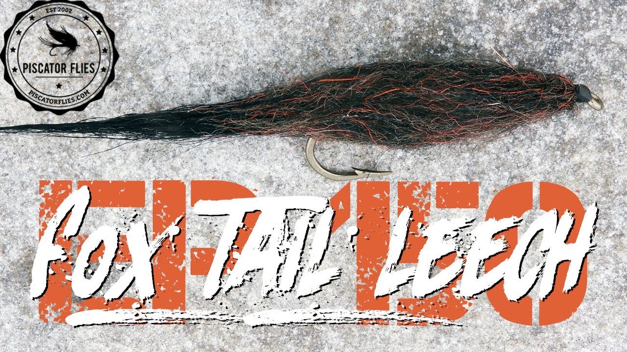 Tying a Fox Tail Leech for Stillwater Fly Fishing - Ep150 PF #PiscatorFlies