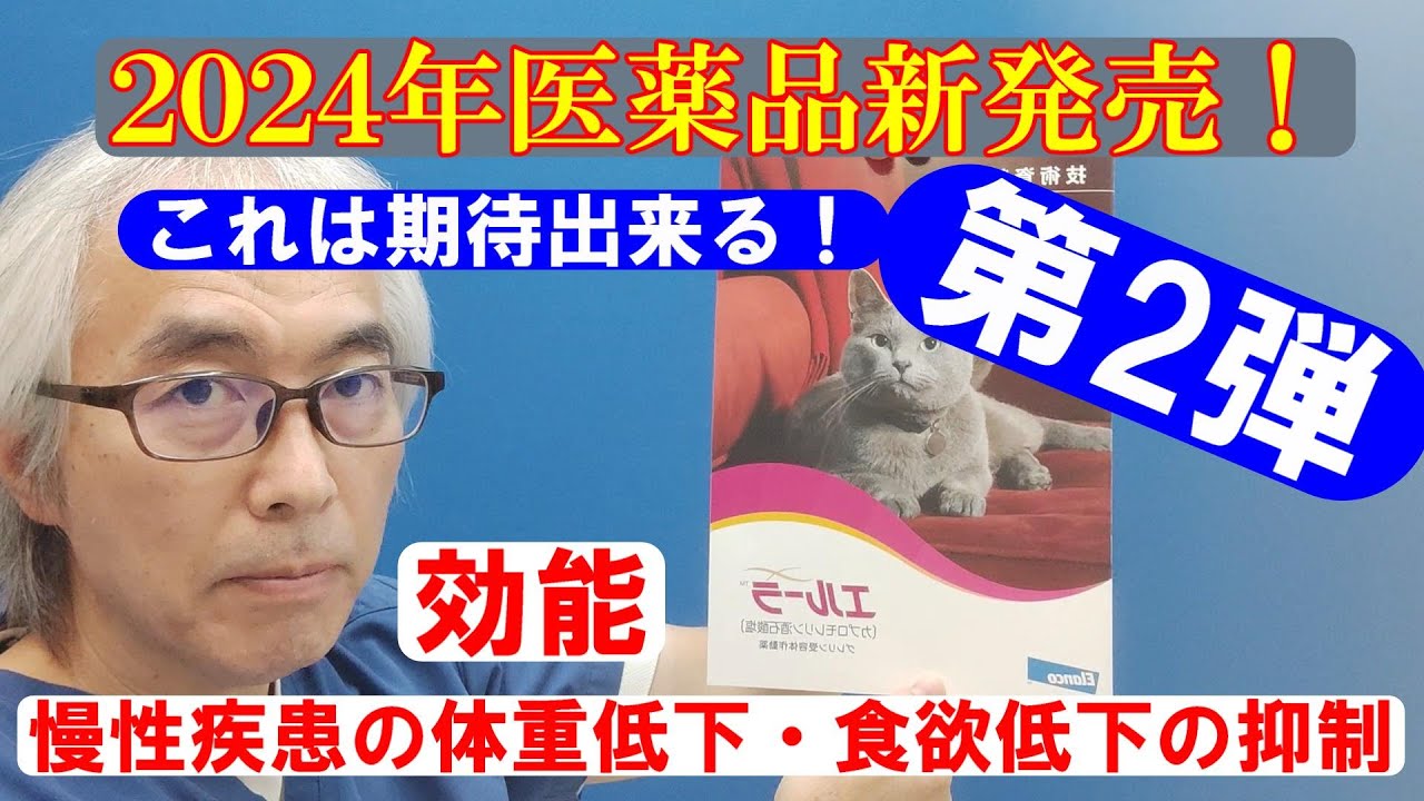 新発売！猫用動物用医薬品「エルーラ」第2弾！適応と注意事項（私信）