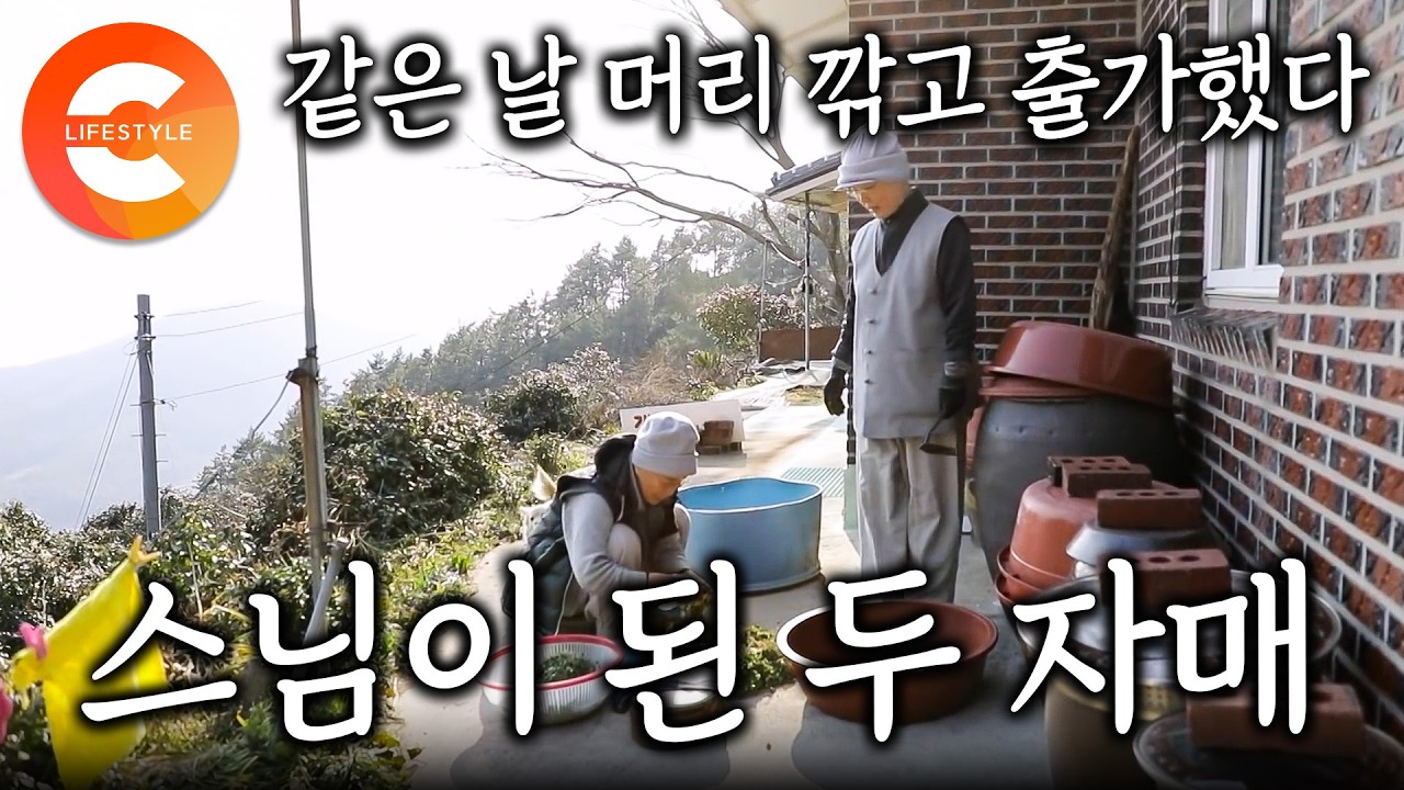 “지금 나와라, 시집가도 안 늦었다” 출가한 딸들을 끝까지 붙잡은 아버지 | 속세를 떠났어도 언니는 언니, 함께 머리를 깎고 산자락 외딴 암자로 들어간 두 자매 스님 | #한국기행