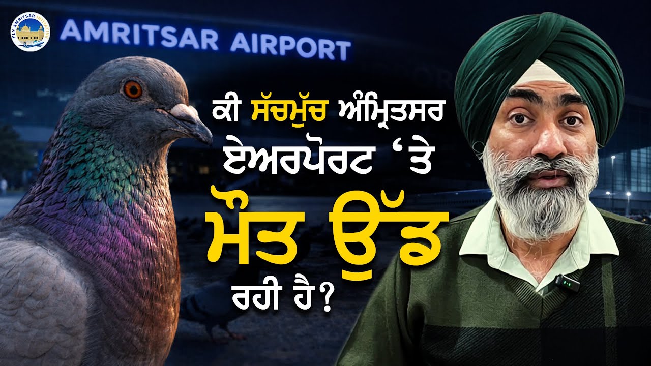 “ਕਿਵੇ ਉੱਡਦੀ ਮੌਤ” Is “Death Flying” at Amritsar Airport? Reality vs Fear  