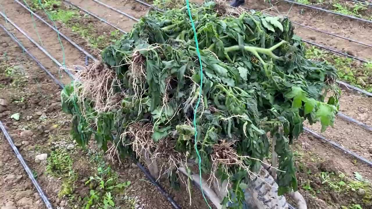 Mijëra hektarë tokë nën ujë, fatura e dëmeve të përmbytjeve mund të arrijë deri në 300 milionë euro