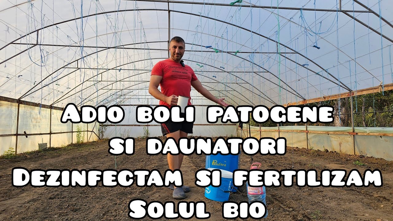 Experienta mea cu daunatorii si bolile patogene din sol în gradina si solarii