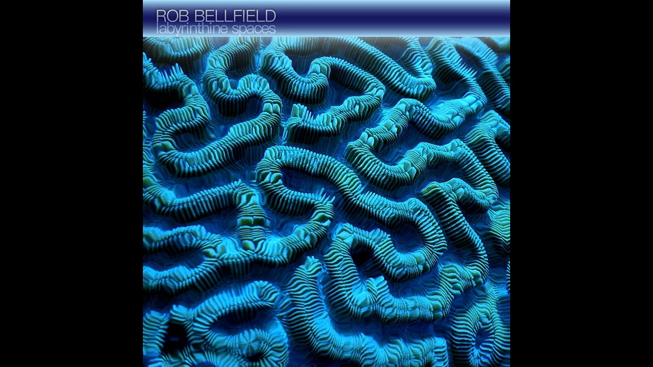 Rob Bellfield - Harmonized Souls