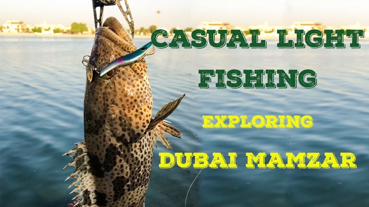 Casual Light Fishing in Dubai, Mamzar Beach
