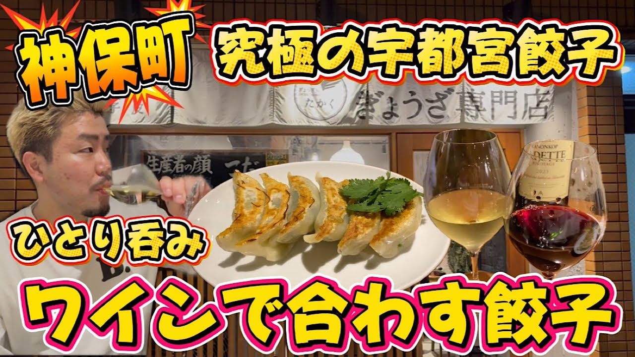 【1人飲み】神保町究極【宇都宮餃子】野菜を大量【ワイン】とペアリングして旨みの底上げ【ぎょうざ屋 たかく 神保町店】