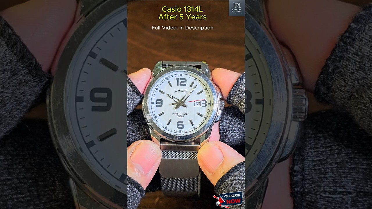 Casio Under $50 After 5 Years!