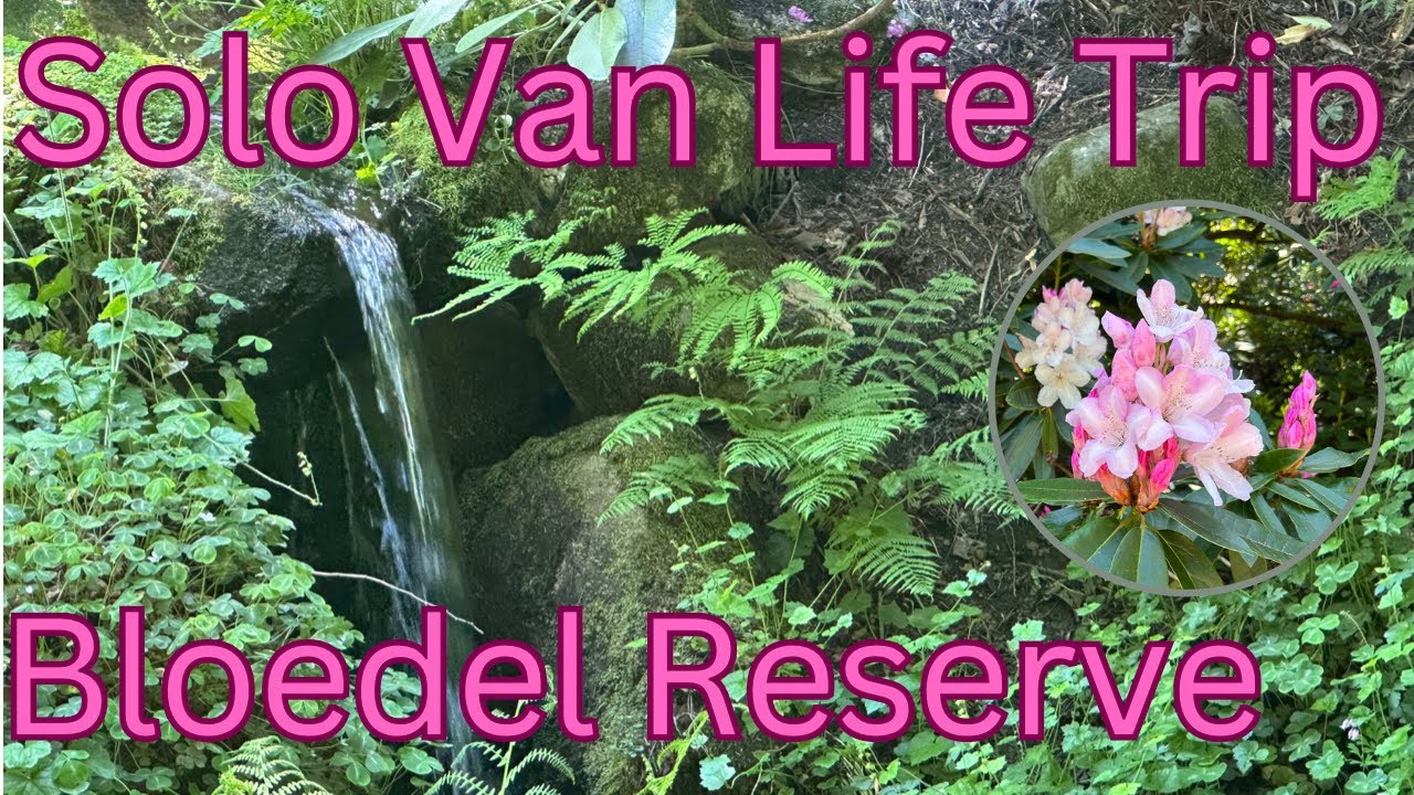 Van Life Trip to Bainbridge Island and the Bloedel Reserve | Plus Pastries in Poulsbo!