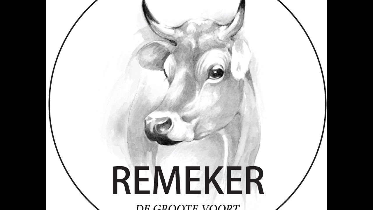 Remeker - Channel 4 -  2 January 2017