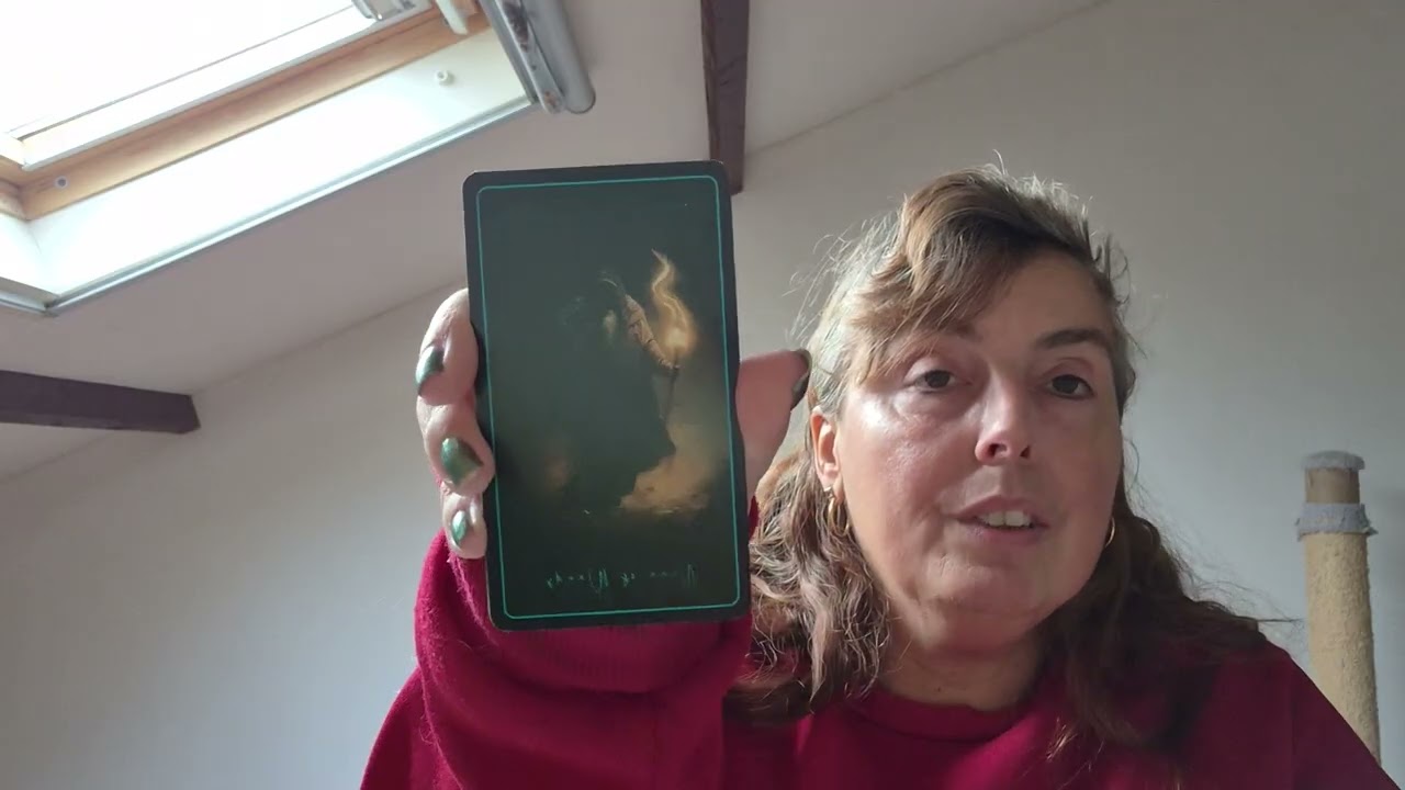 BONUS Tijdloze Reading: Tweelingenziel heeft nog steeds..