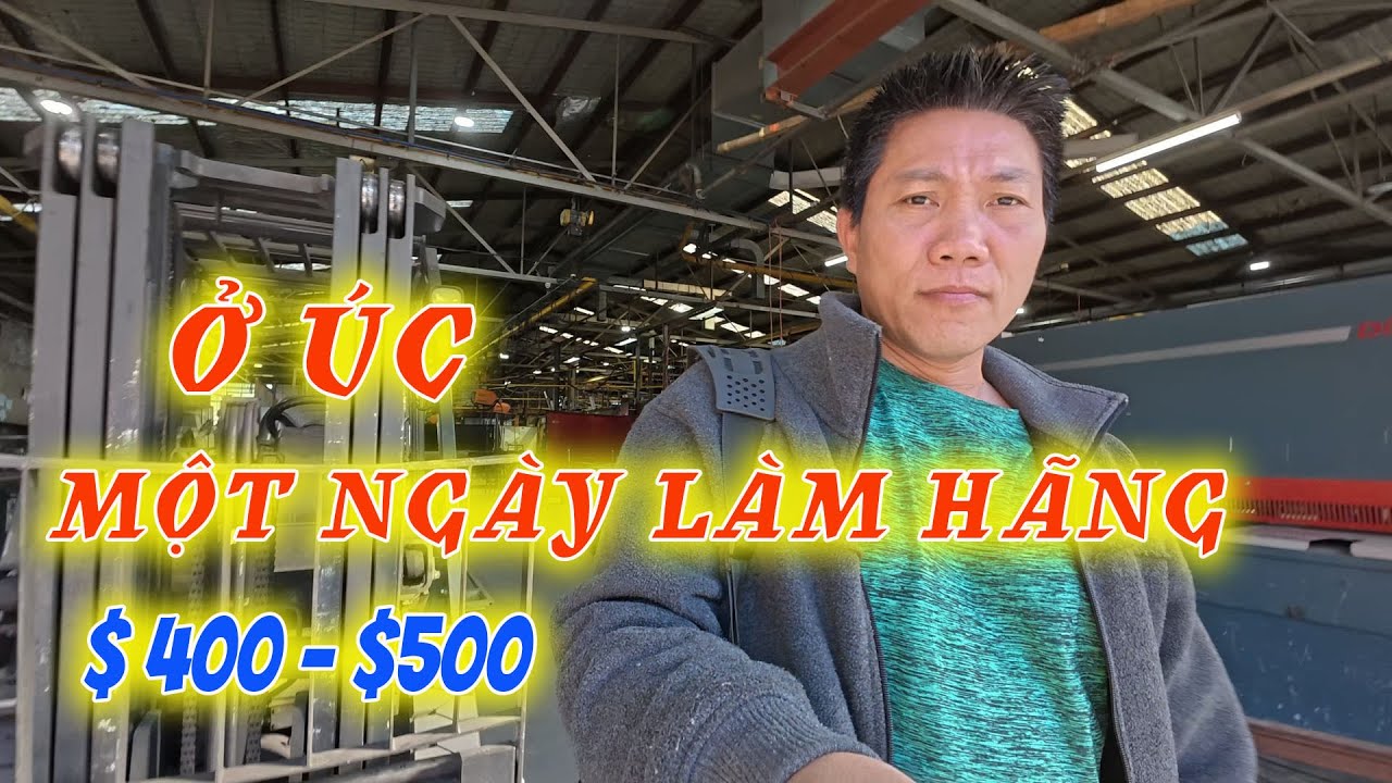 CUỘC SỐNG ÚC,  ĐI LÀM TỪ TỜ MỜ SÁNG KIỂU DÂN LÀM HÃNG, LÀM FARM CÒN KINH KHỦNG HƠN