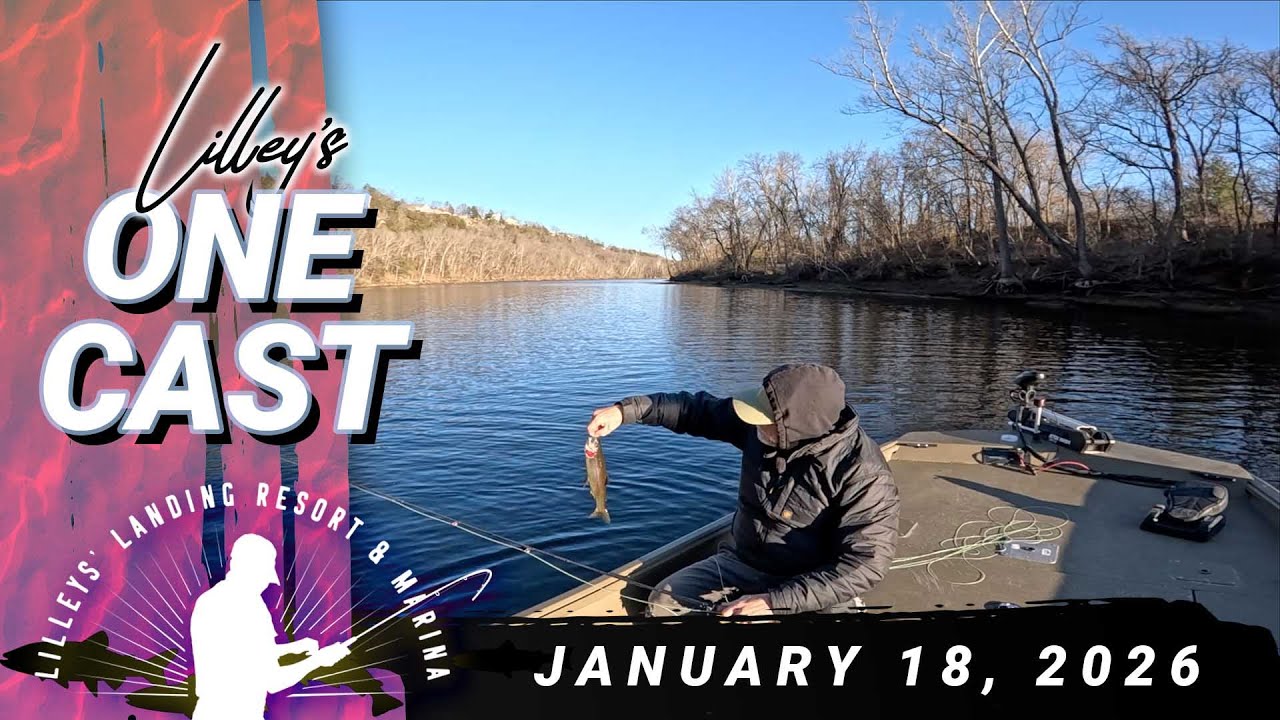 Lilley's One Cast, January 18