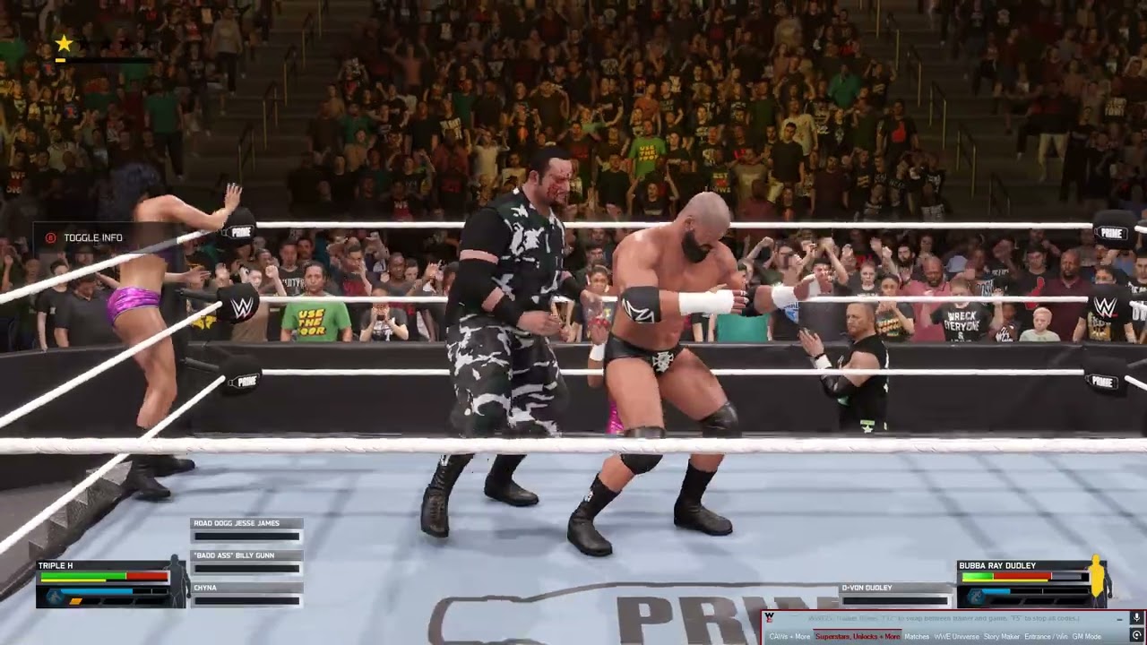 DOUBLE TITLE MATCH BUBBA DUDLEY VS HHH FOR THE WWE INTERCONTINENTAL AN WWE WORLD TITLE