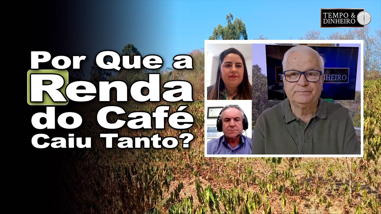 Pesquisa a campo da Faemg constata: renda do café caiu 20%