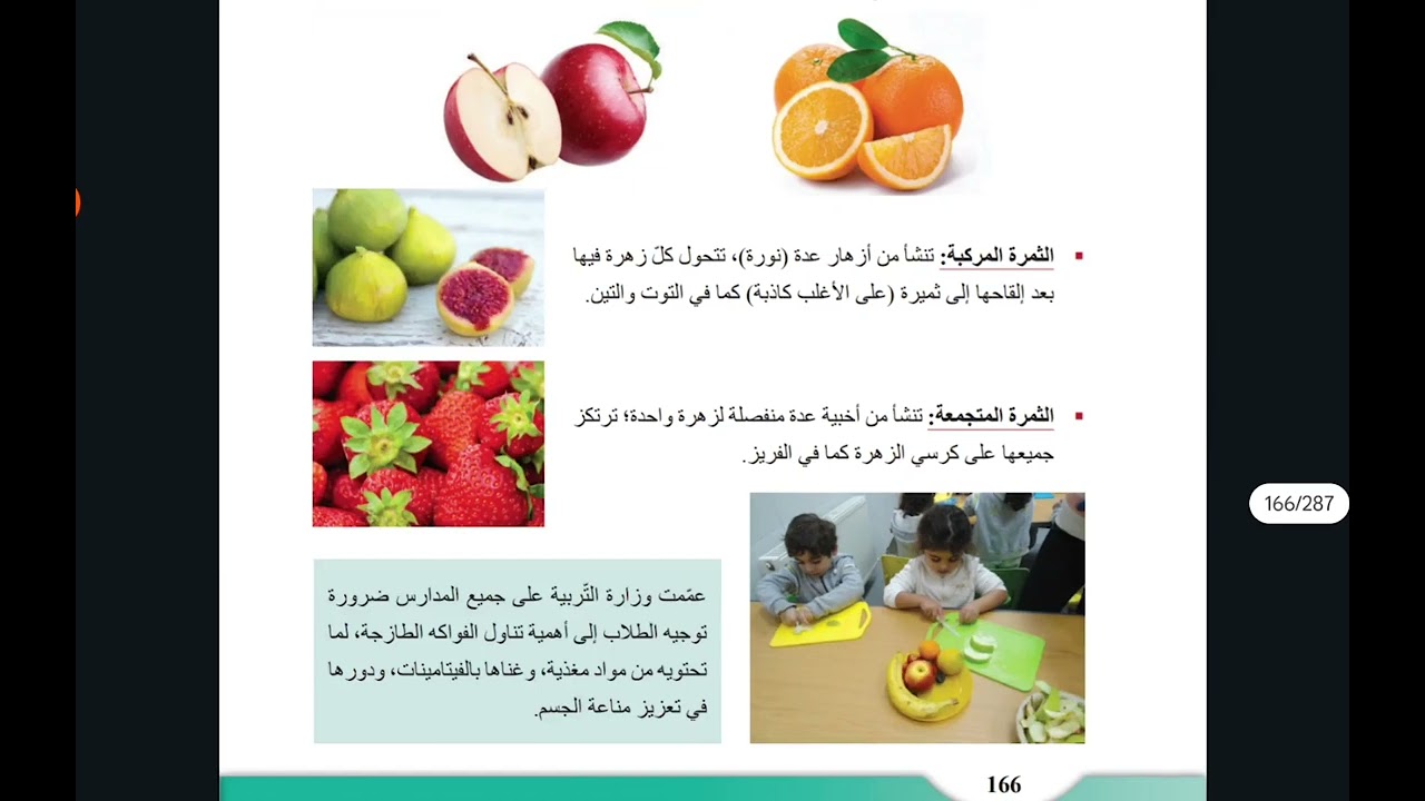 مغلفات البذور | التقويم النهائي |