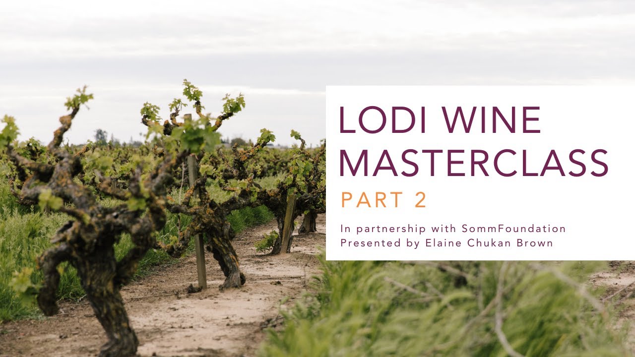 Lodi Wine Masterclass with SommFoundation Part 2