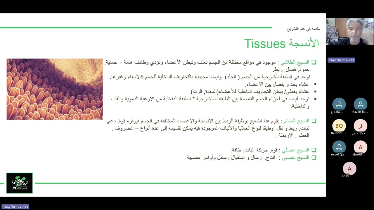 تشريح 3- نابلس