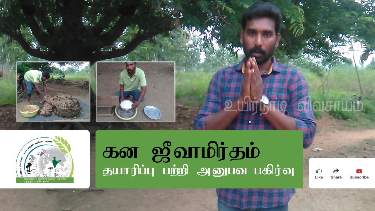 கன ஜீவாமிர்தம் தயாரிப்பு || Kana Jeevamirtham || +91 99520 68223