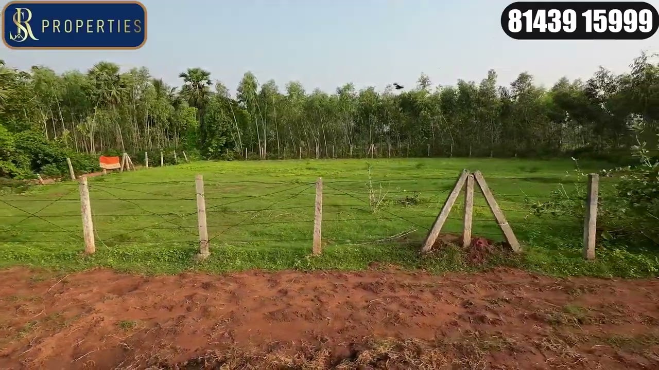 29 Cents Agricultural Land for Sale in Sontyam Vizag – Perfect for Your Dream Guest House!
