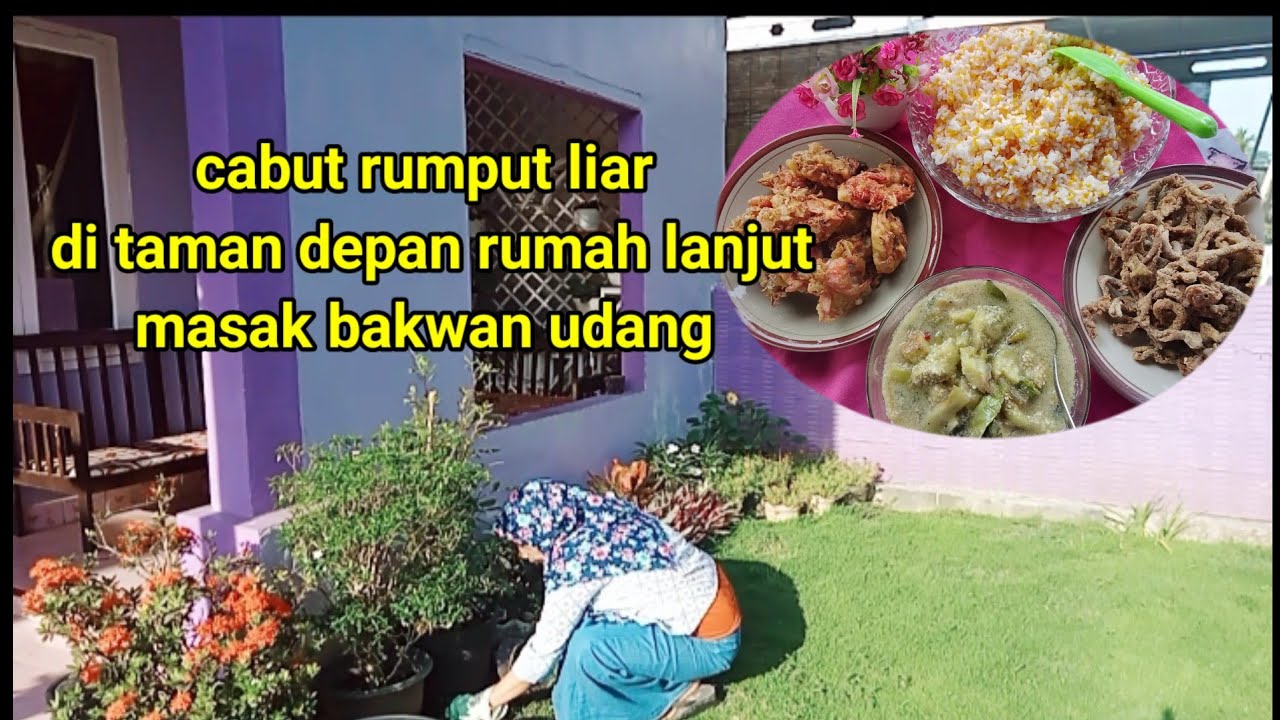Bersihkan rumput liar di taman depan rumah,masak bakwan udang ,usus krispi@ifafauzi13