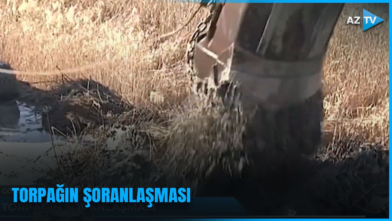Bu prosesin qarşısını almaq üçün hansı tədbirlər görülür?