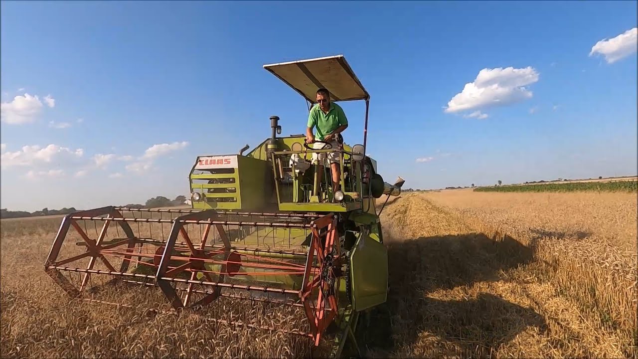 Żniwa u Szymka/ Claas Consul/ Star 742/ Brama Weselna/ Awaria
